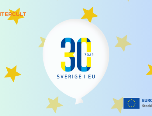 Sverige firar 30 år i EU!